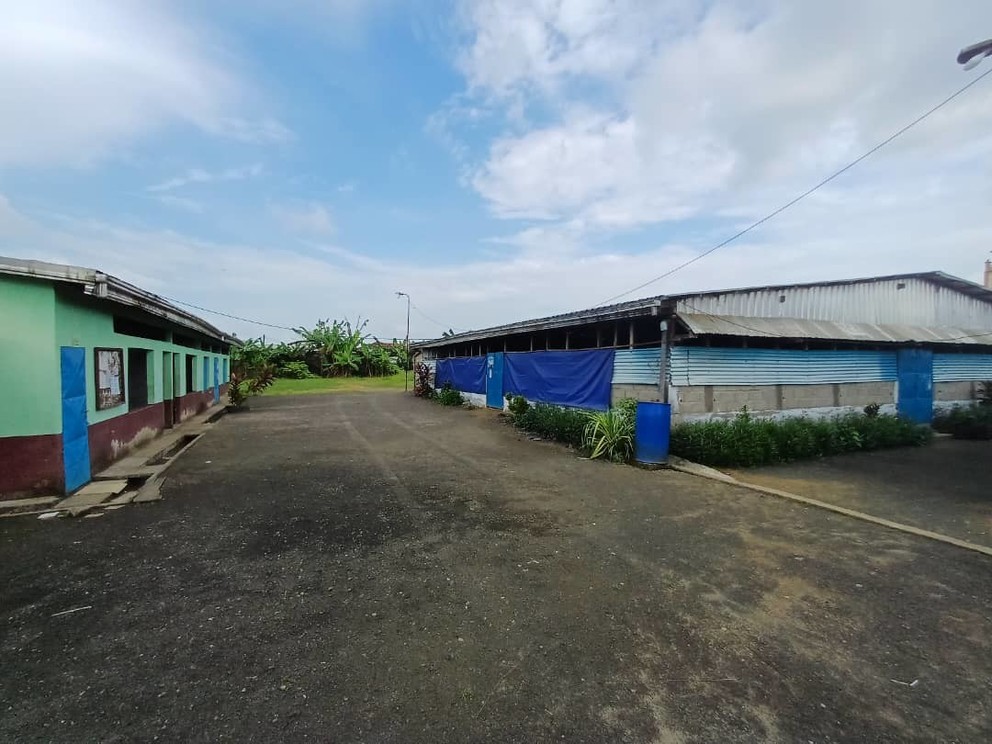 St. Timothy In Douala