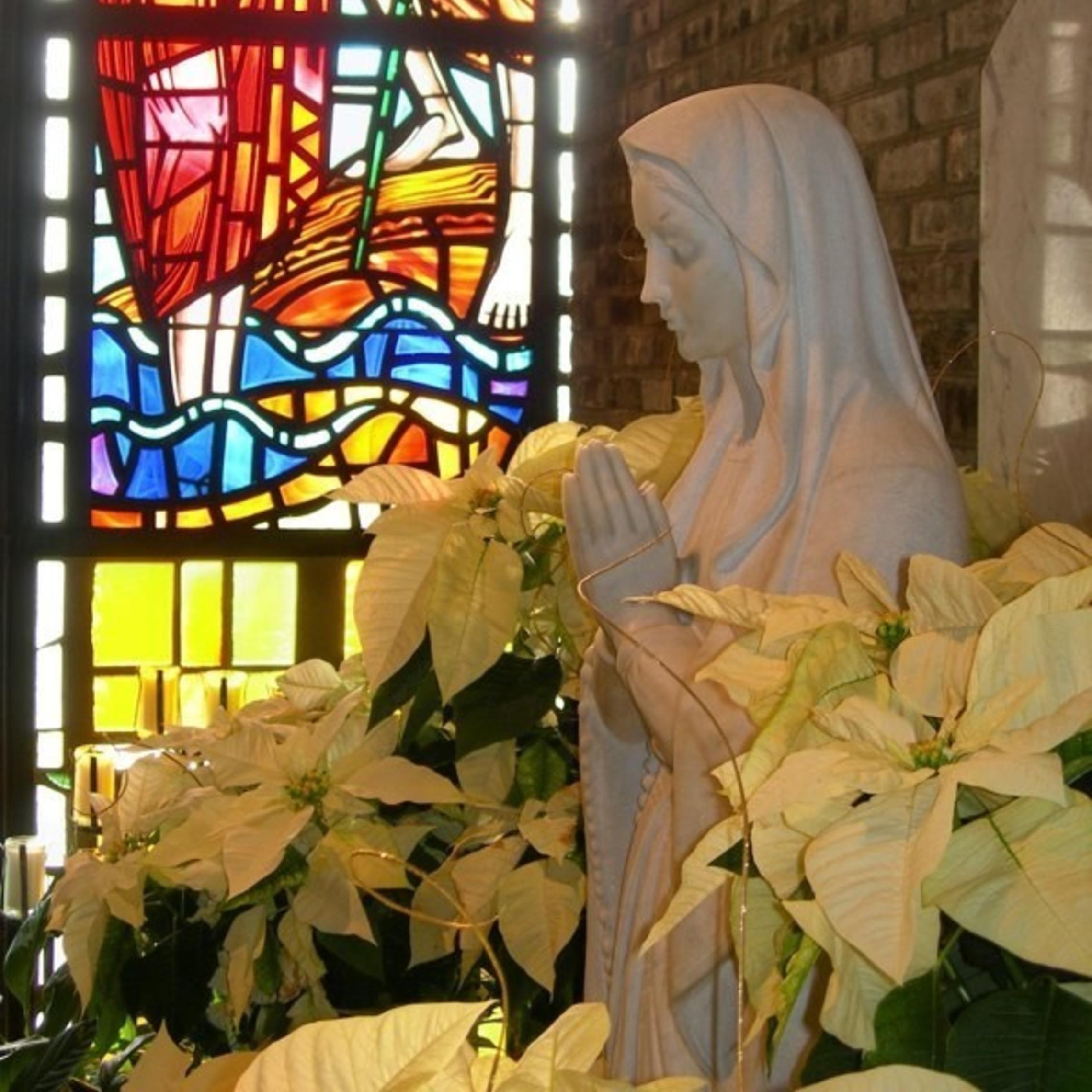 Marian Grotto Christmas For Svdp