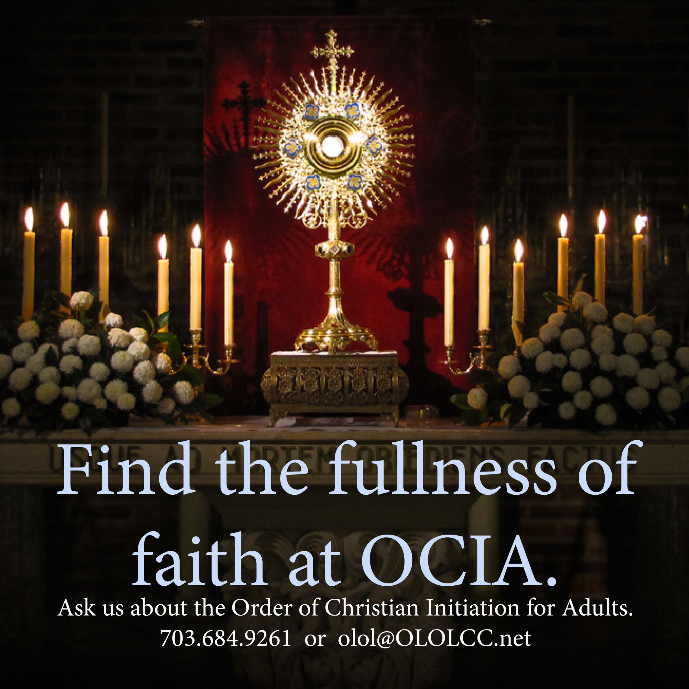 Seeking? Find the fullness of faith at OCIA.
