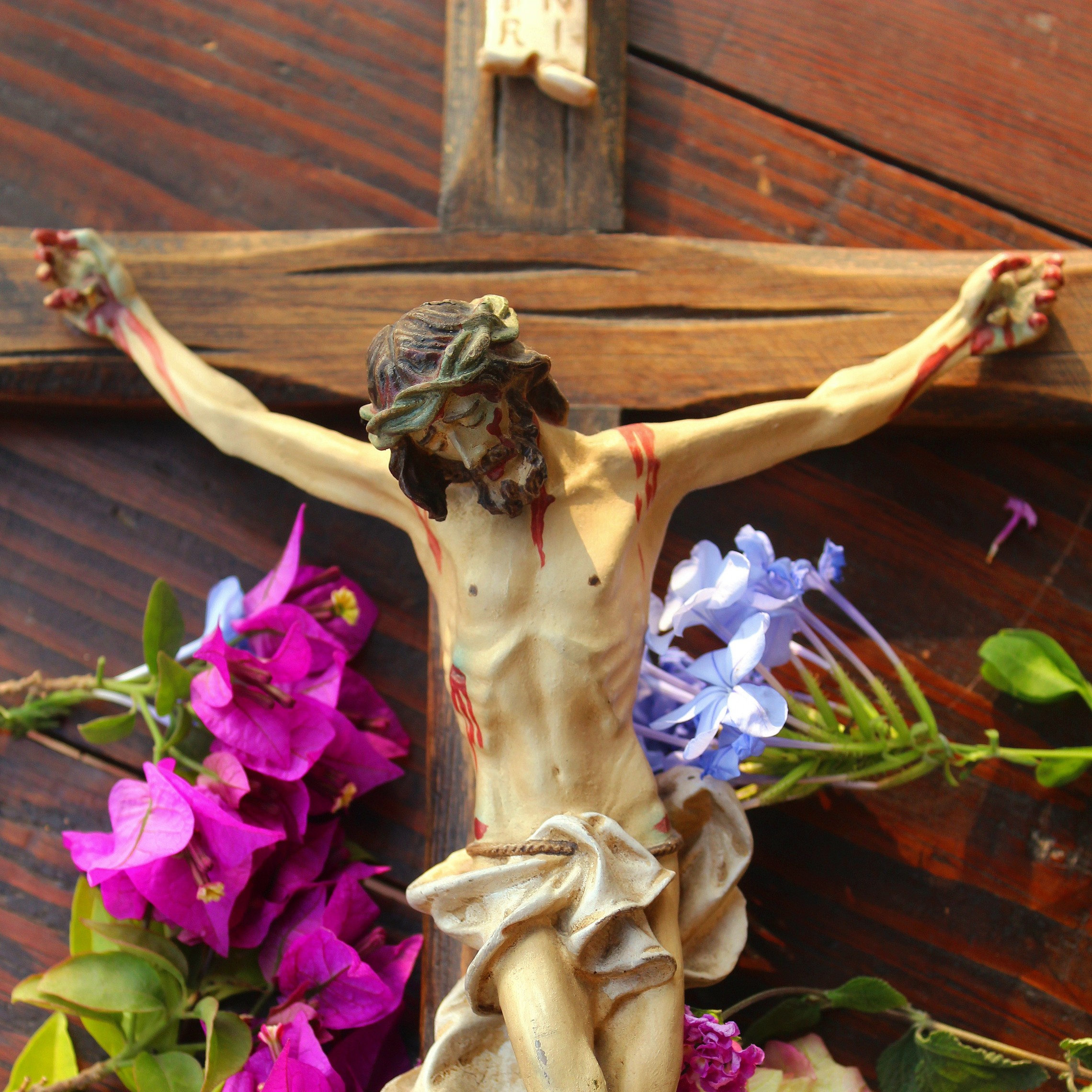 Paolar F5f6a0ad52d27482527a465b90d9c503 Cathopic