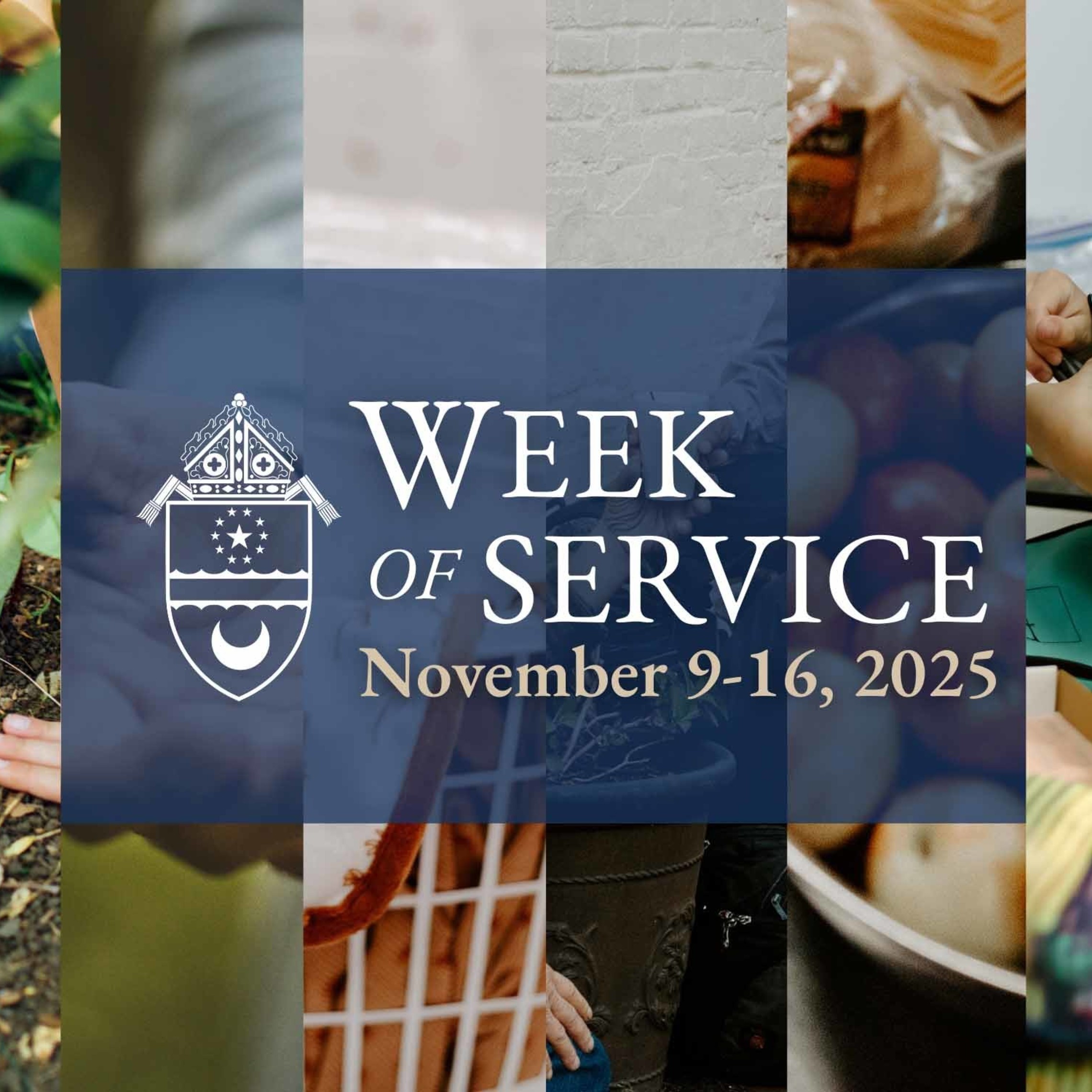 Sw Website 1 640x480 1