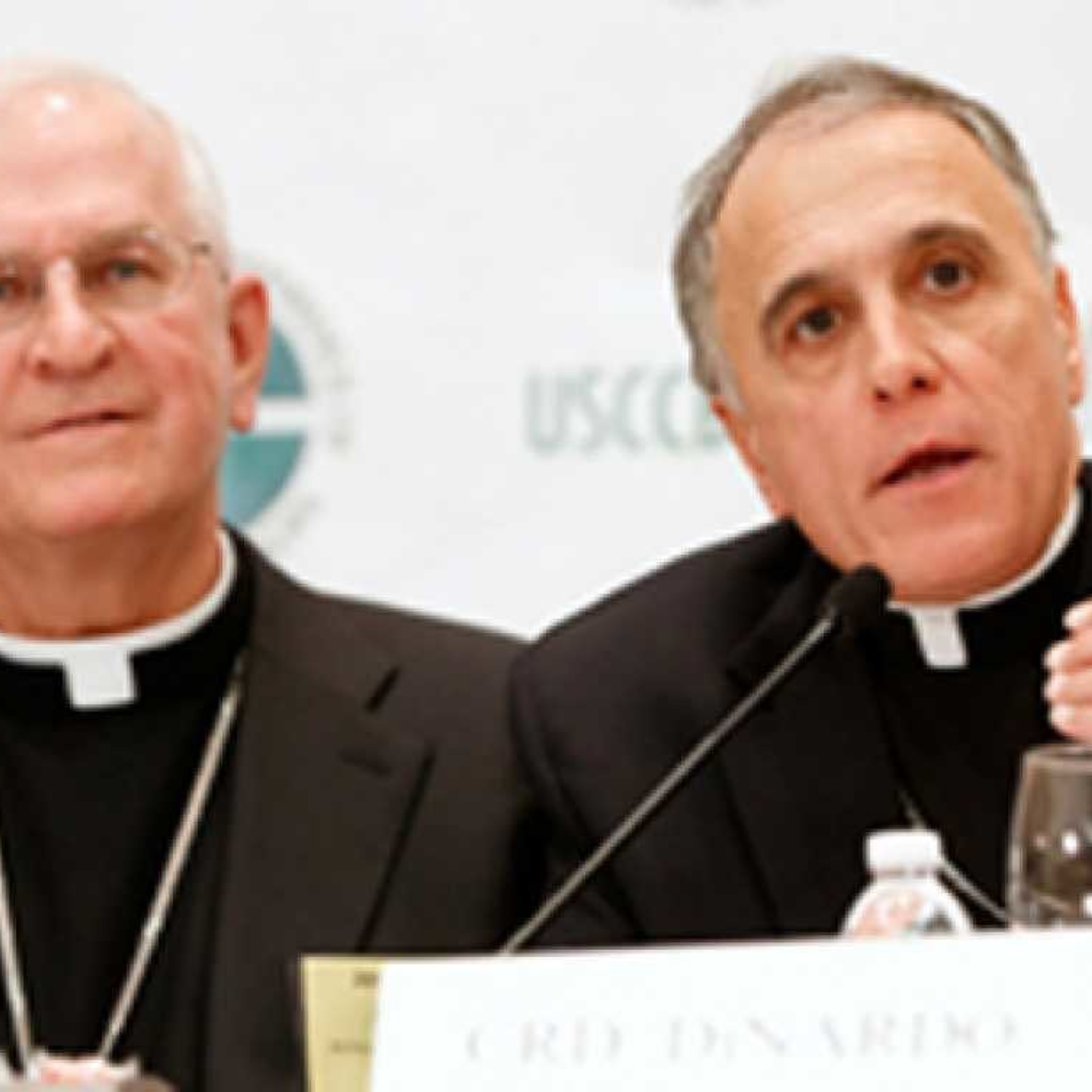 Usccb Panel