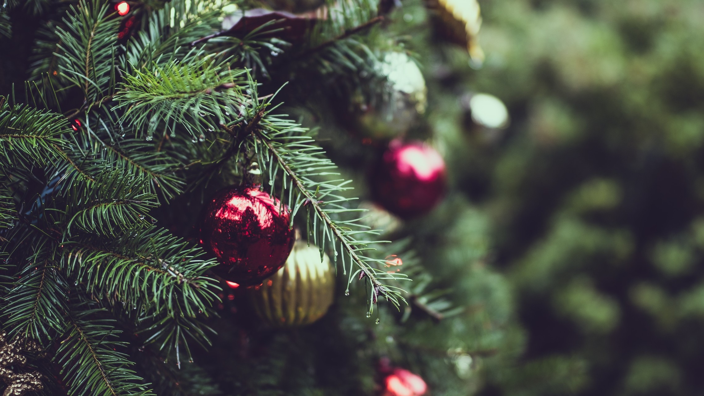 red and gold Christmas ornaments on tree branches