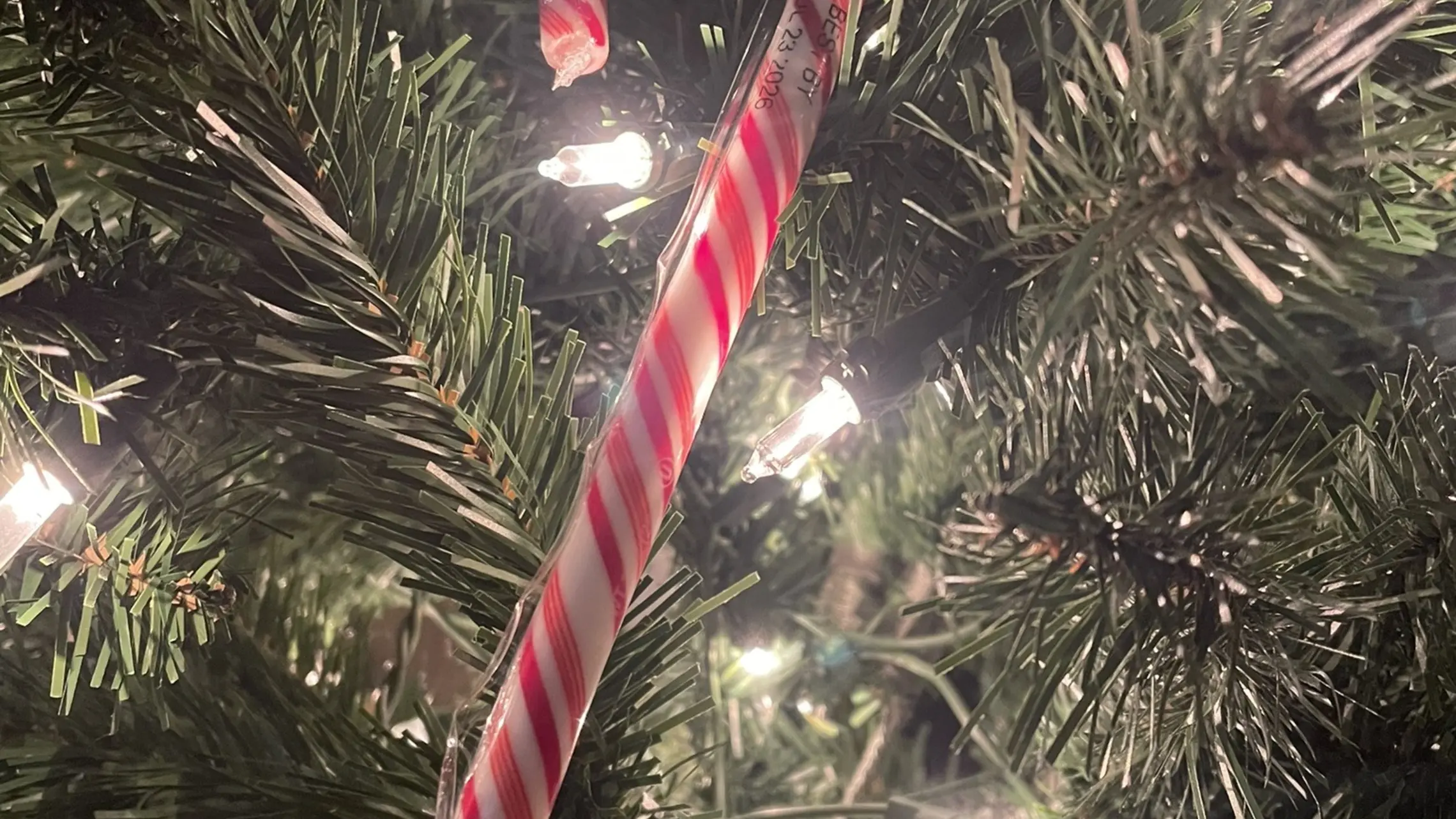 Christmas Innocence