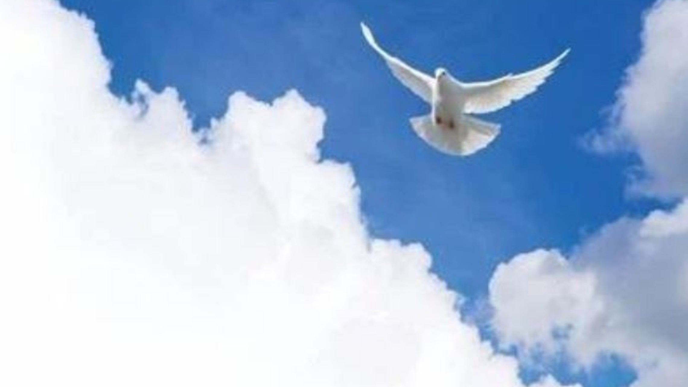 Gifts o fthe Holy Spirit - Knowledge KNOWLEDGE