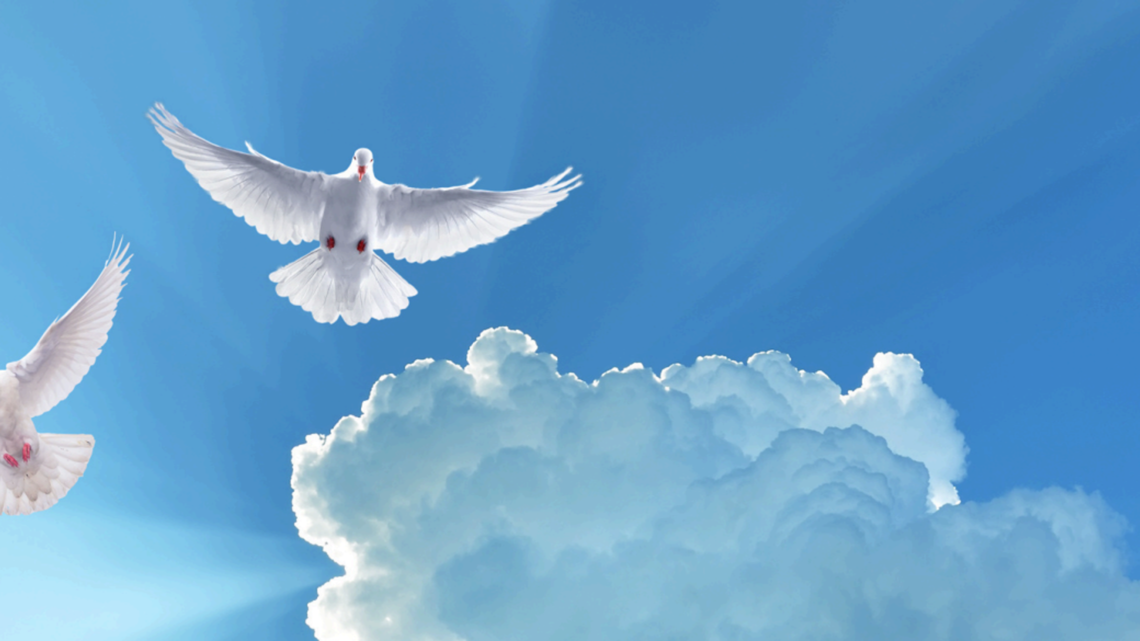Holy Spirit 2