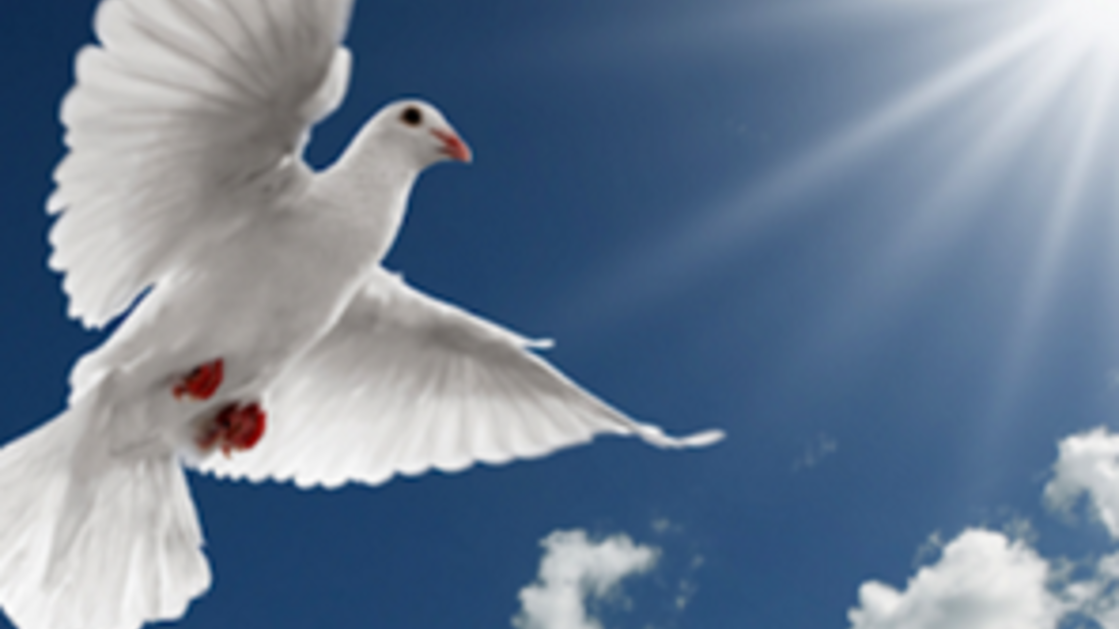 Gifts of the Holy Spirit - FORTITUDE