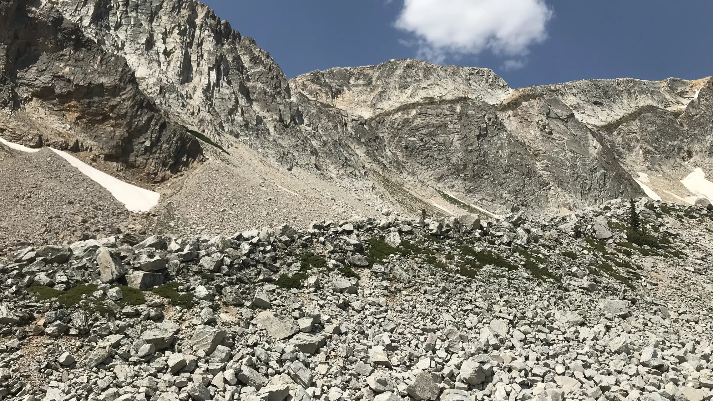 Img 0585