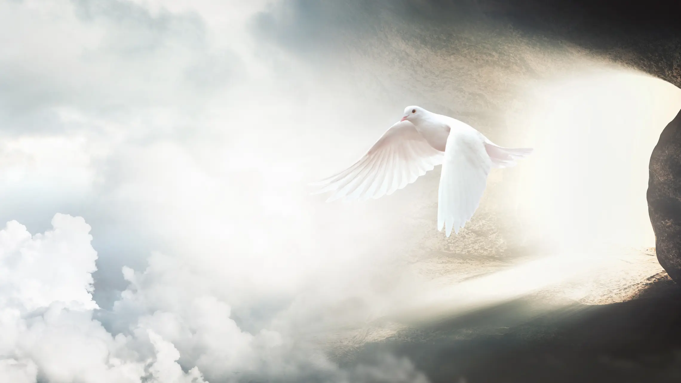 Istock 1473132439