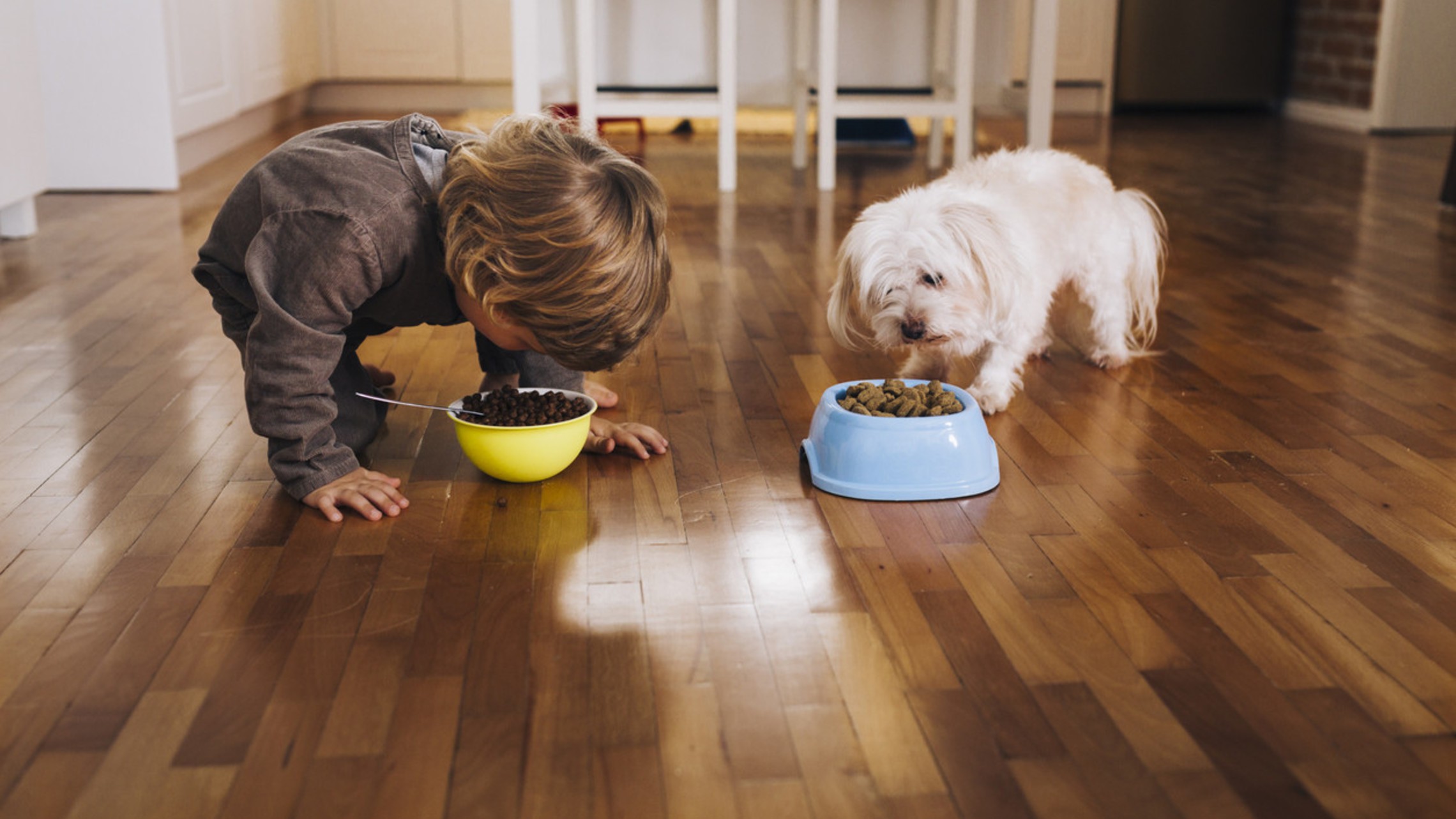 Istock 1494531847