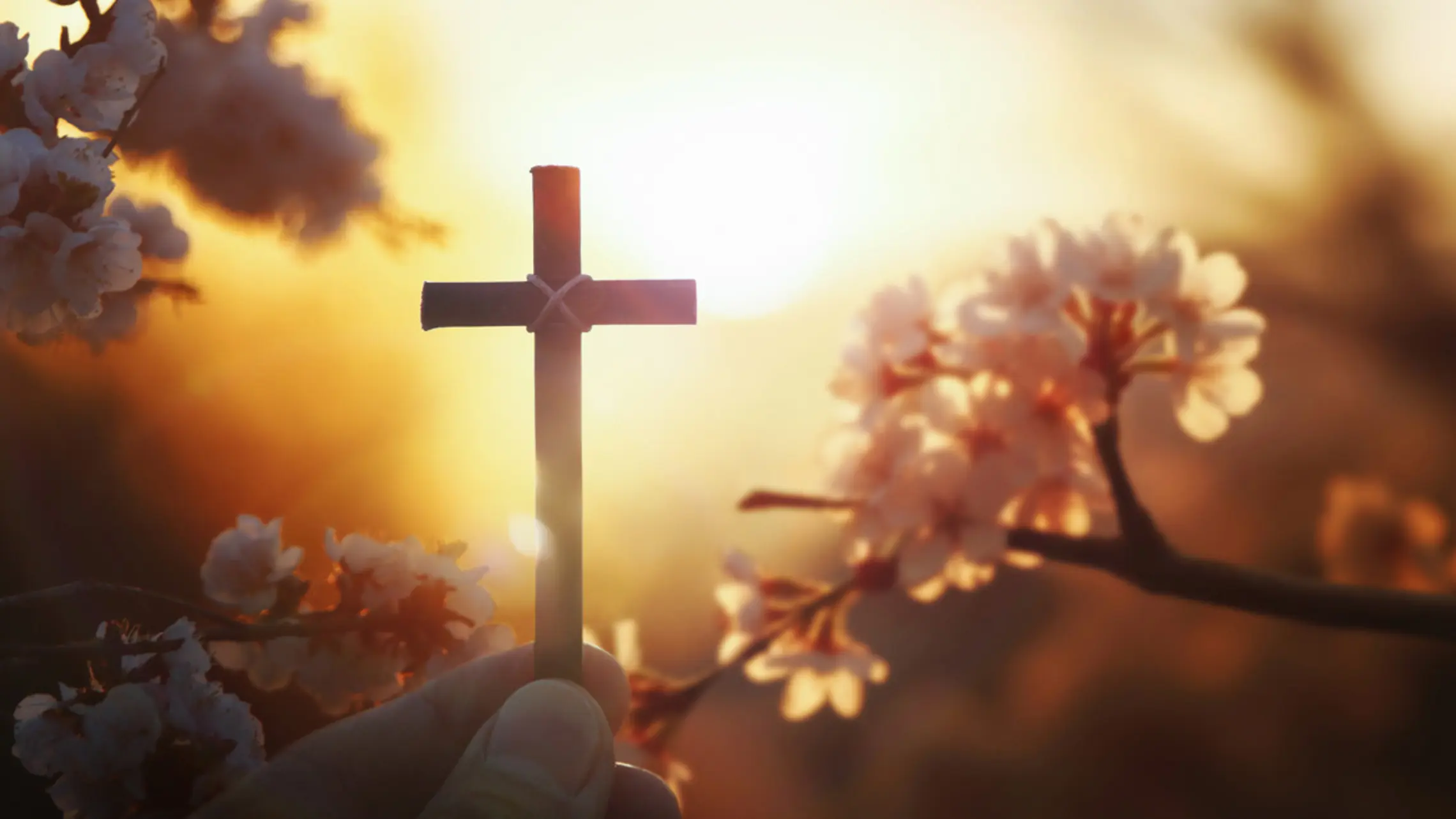Light And Cross