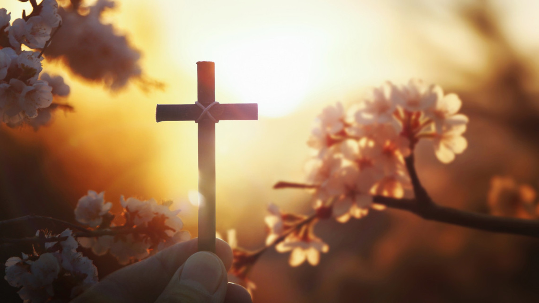 Light And Cross