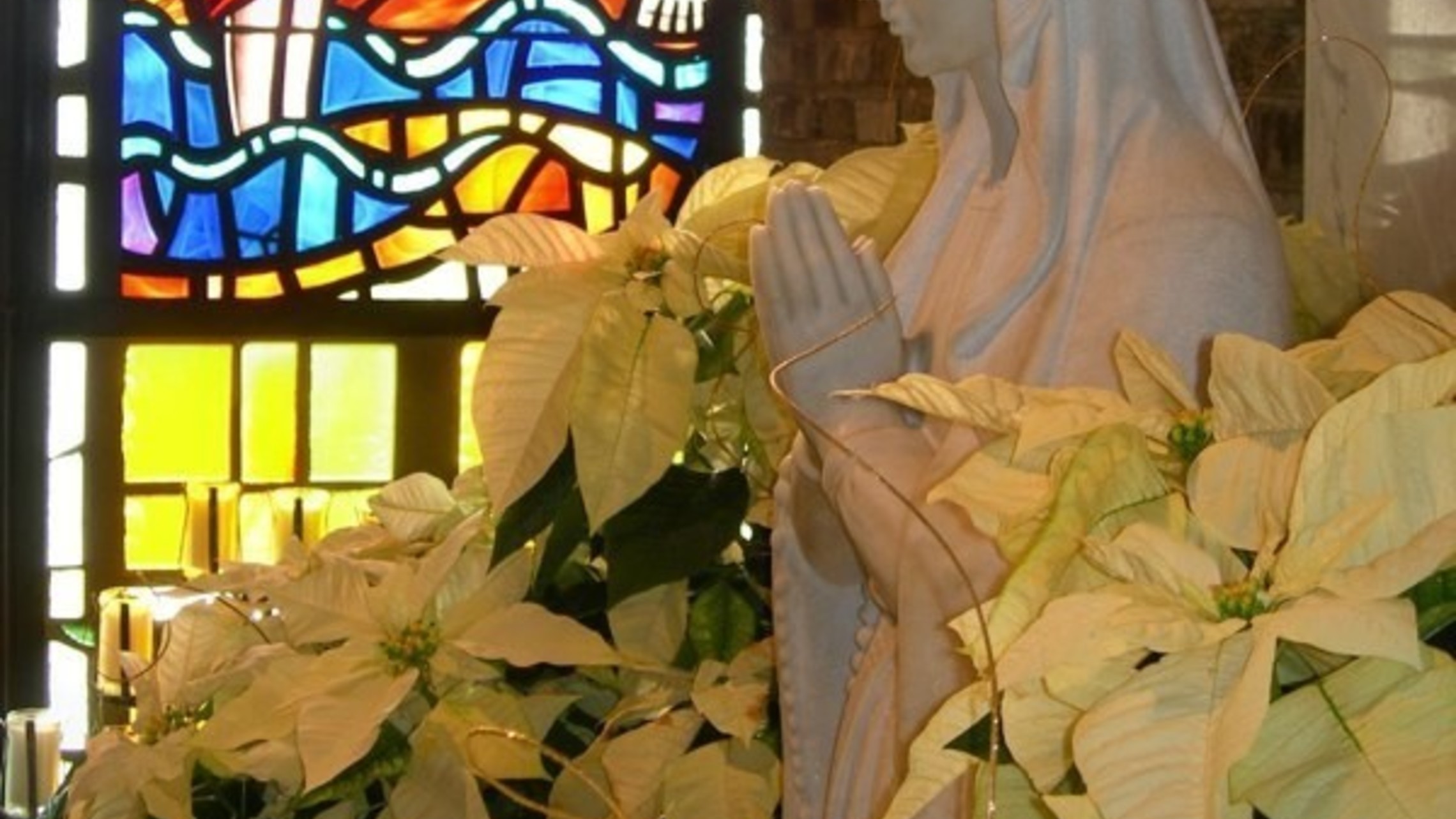 Marian Grotto Christmas For Svdp