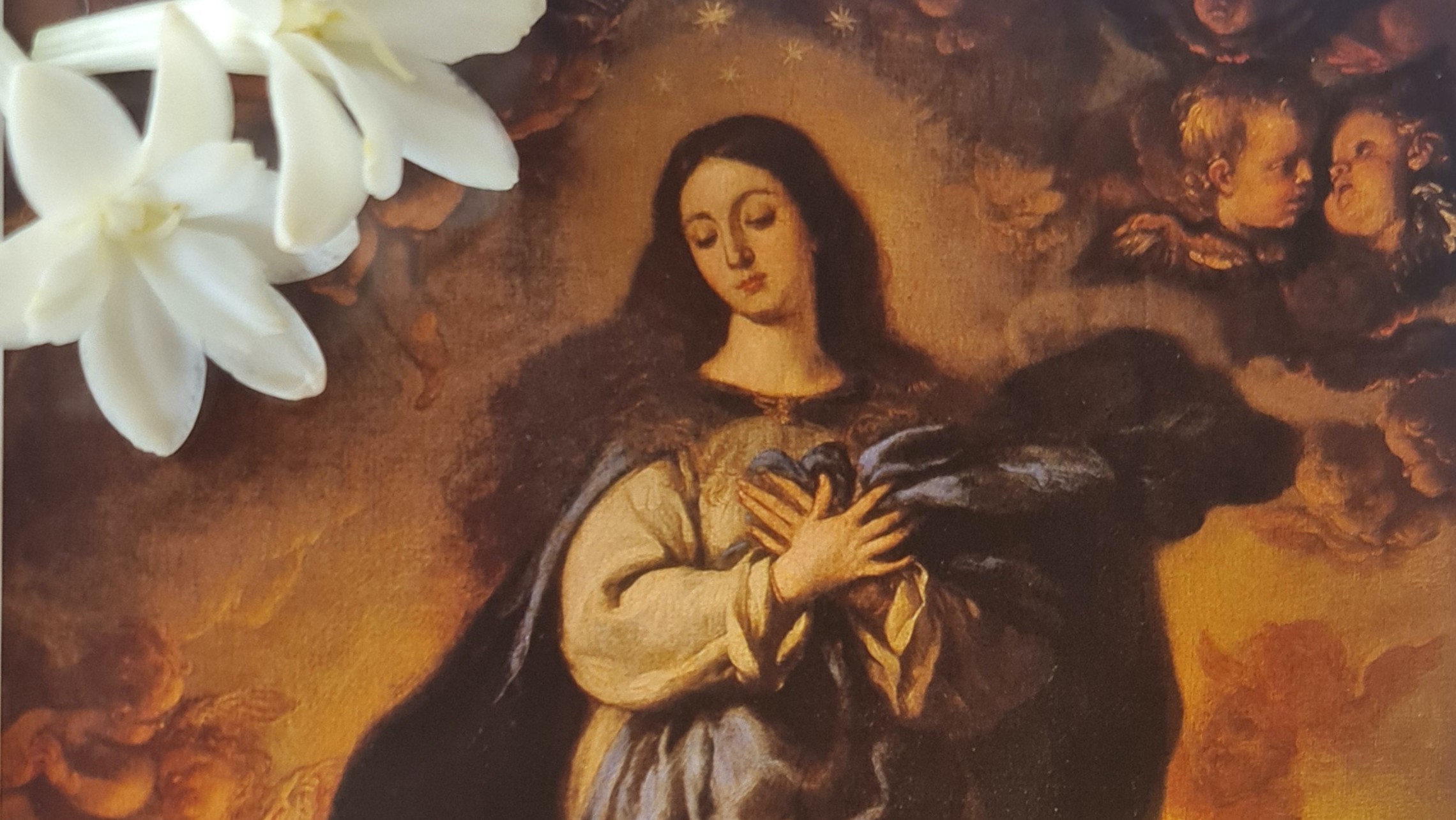 Paolar 8288d68aaf121e29913c6788aa5fa283 Cathopic