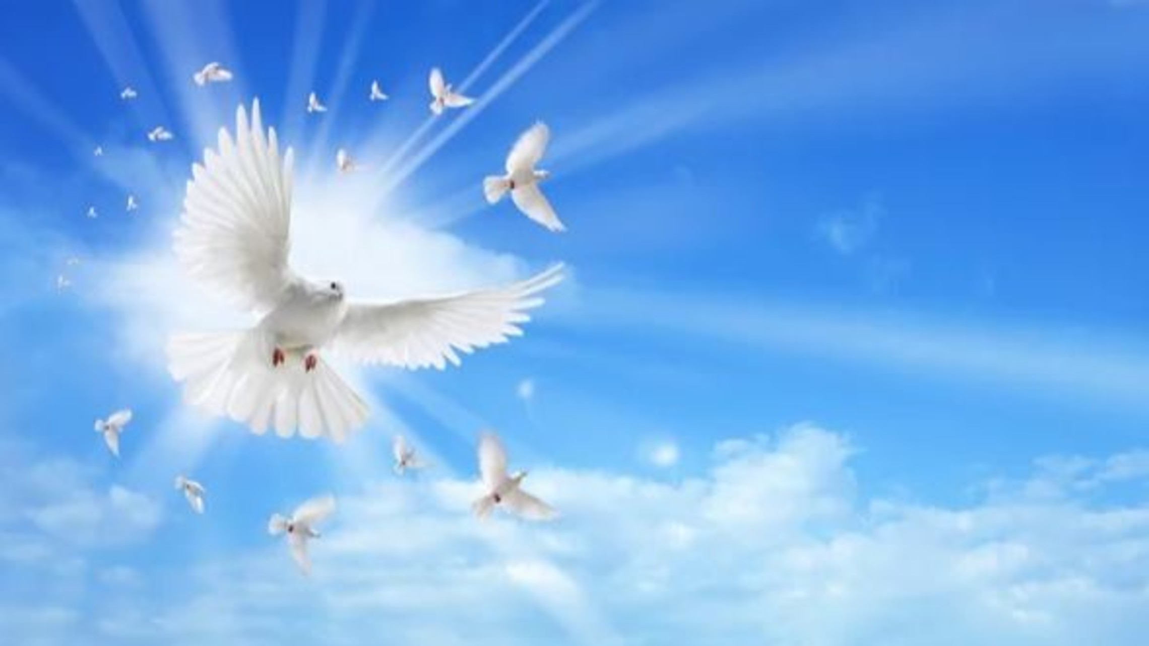 Gifts of the Holy Spirit Series What are the Gifts of the Holy Spirit about?