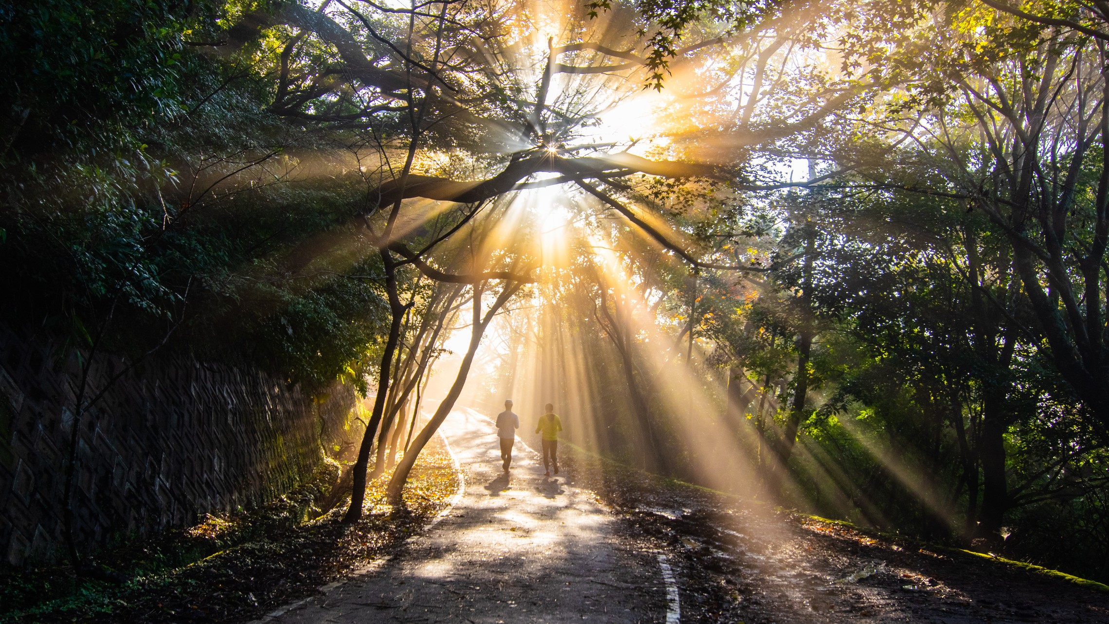 Shutterstock 1319647511