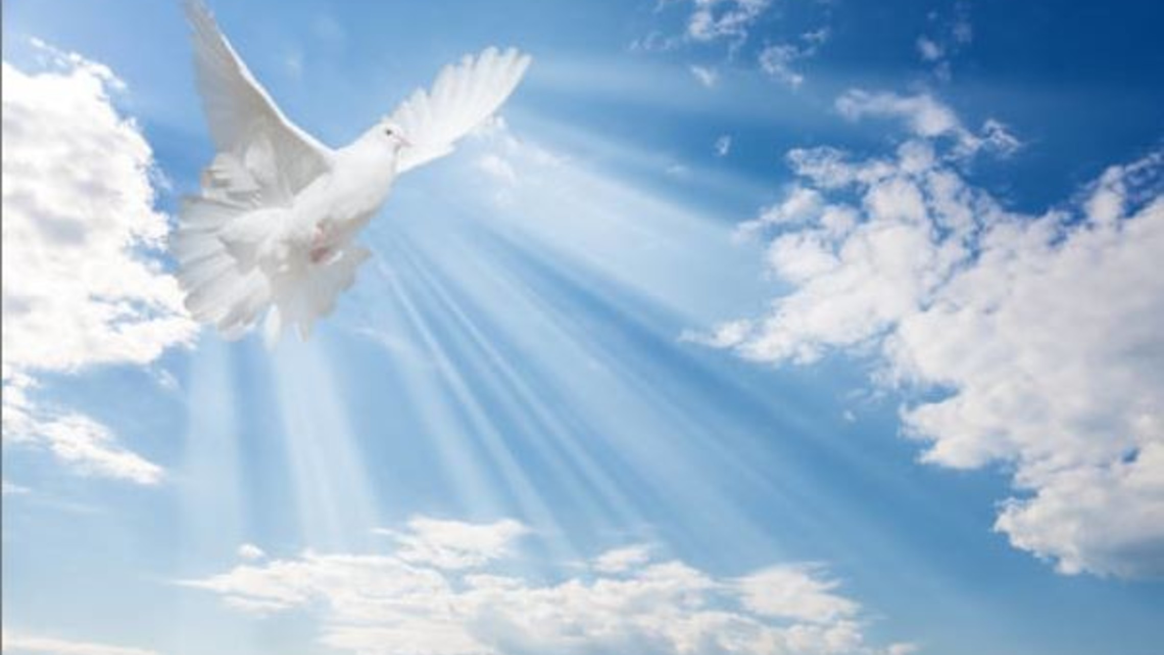 Gifts of the Holy Spirit - WISDOM WISDOM
