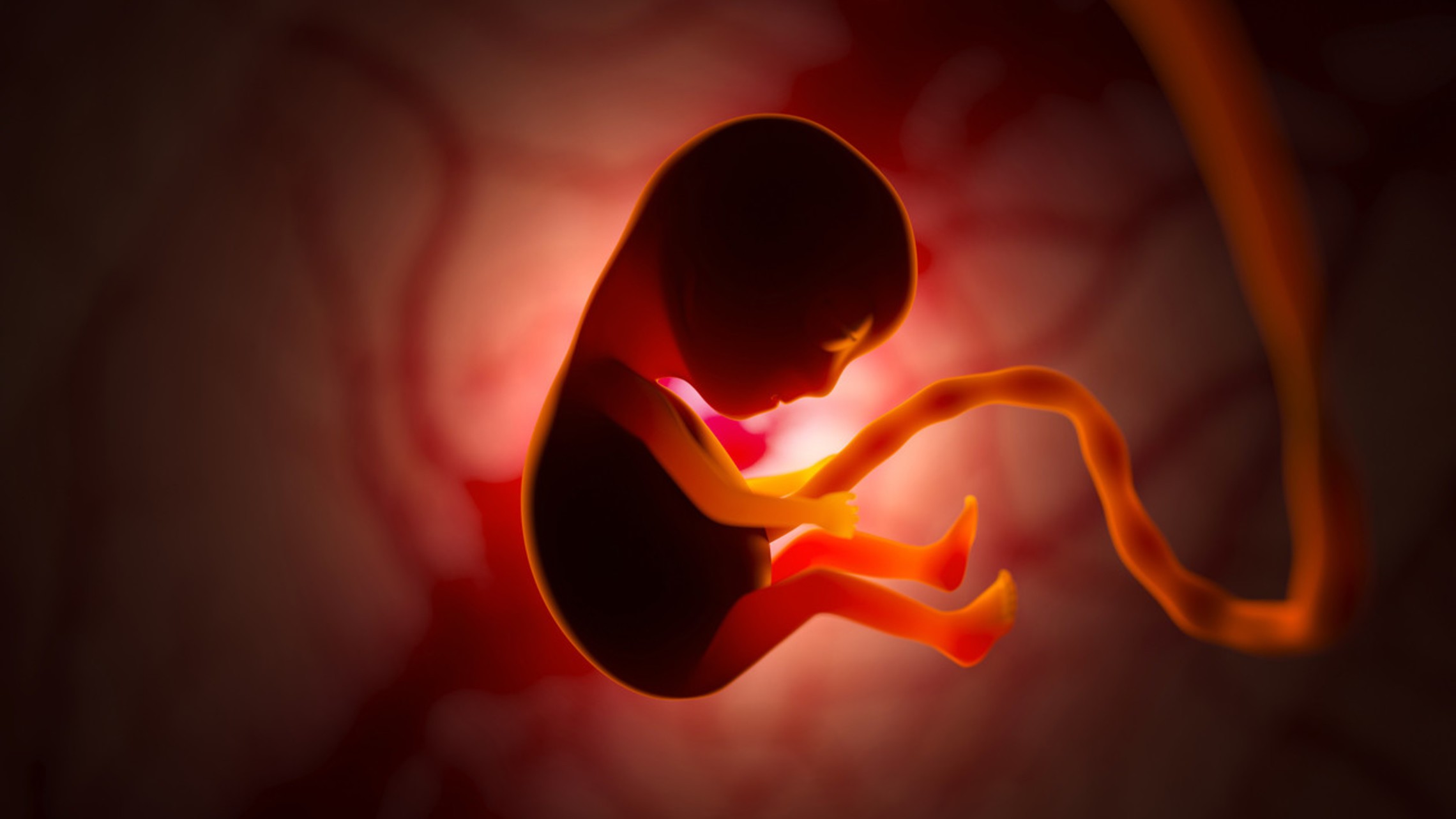 Unborn Baby