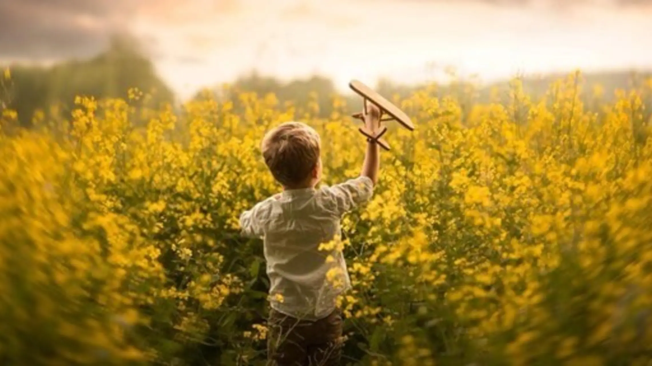 a child plays with a toy airplane in a field of flowers