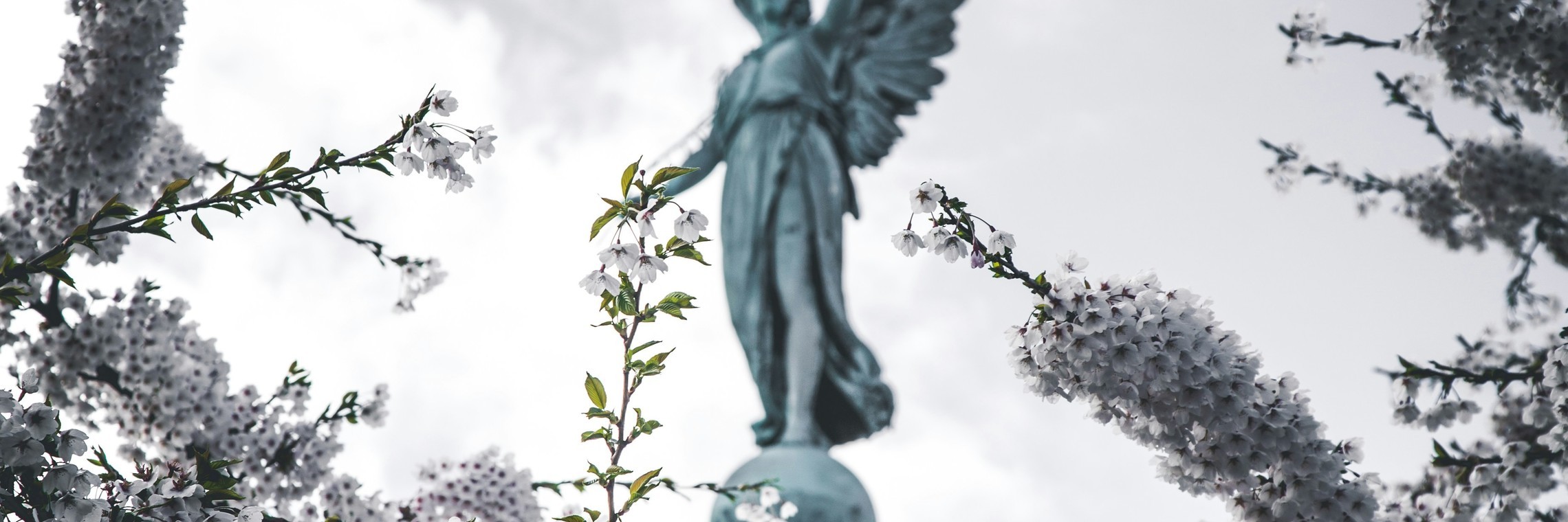 Eternal rest grant unto them, O Lord
