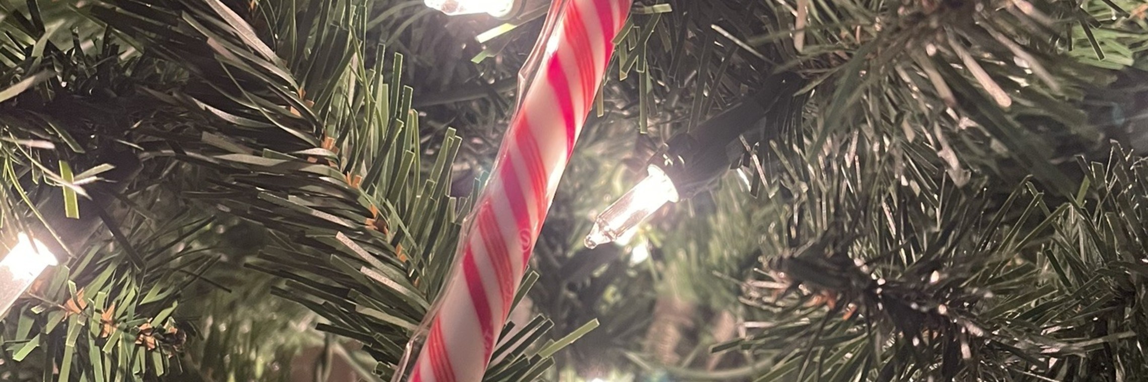 Christmas Innocence