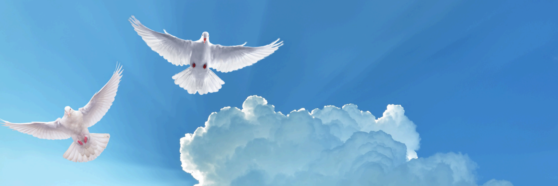 Holy Spirit 2
