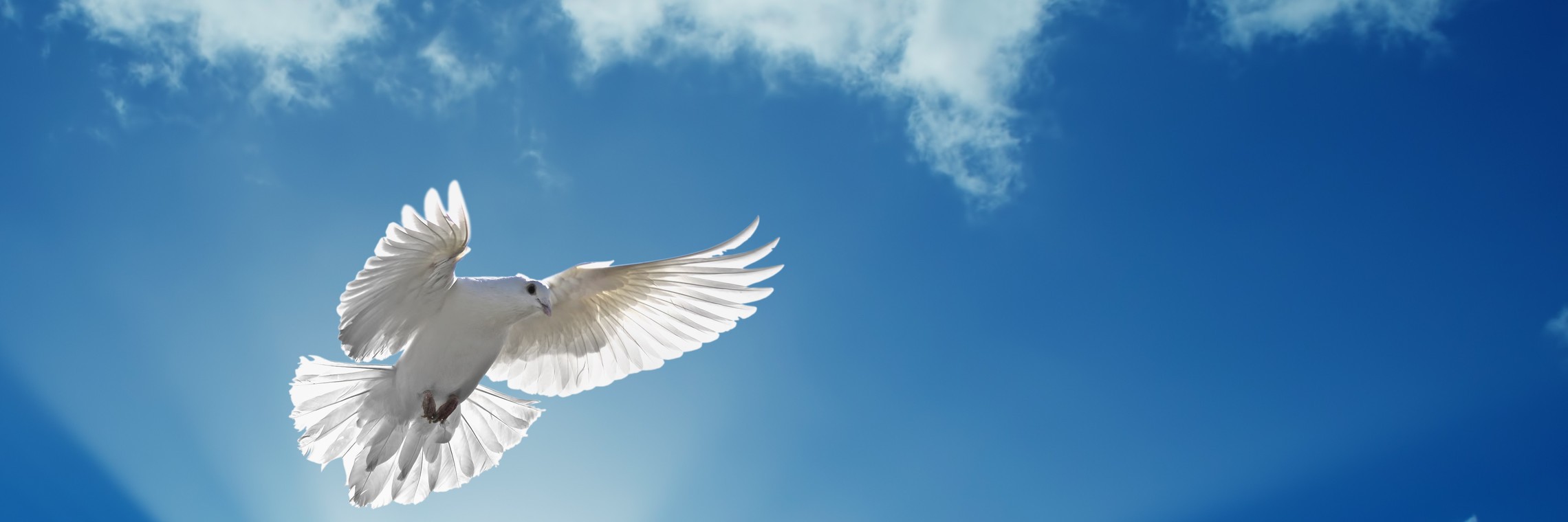 Istock 817347192 1