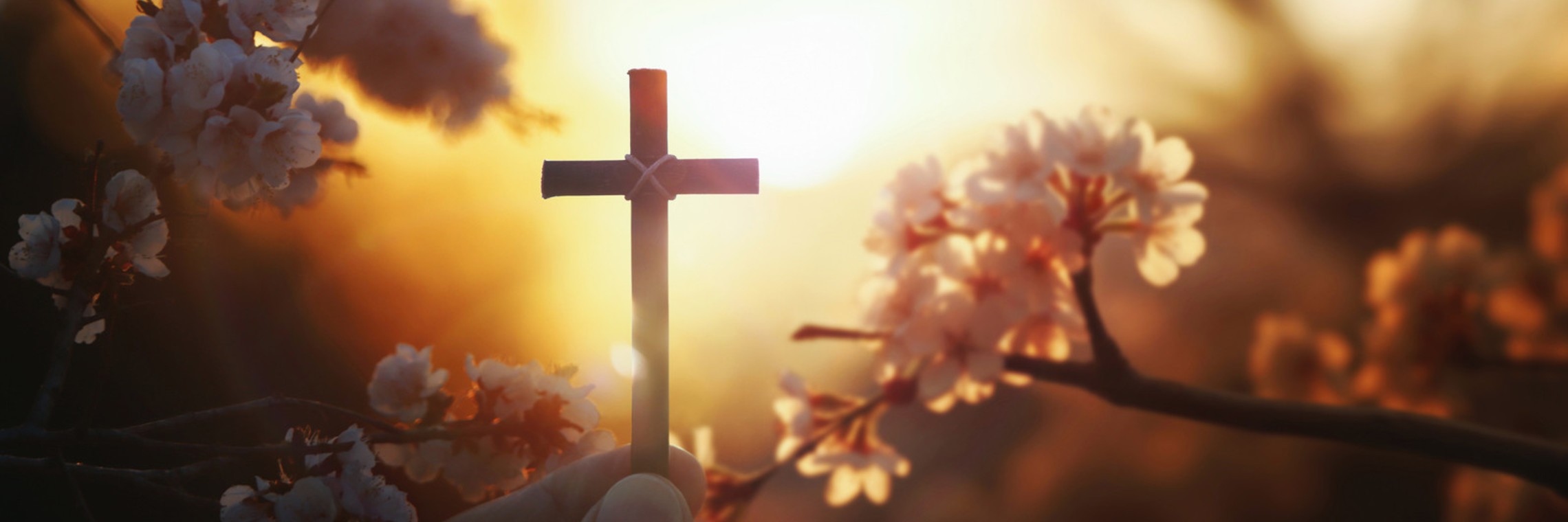 Light And Cross