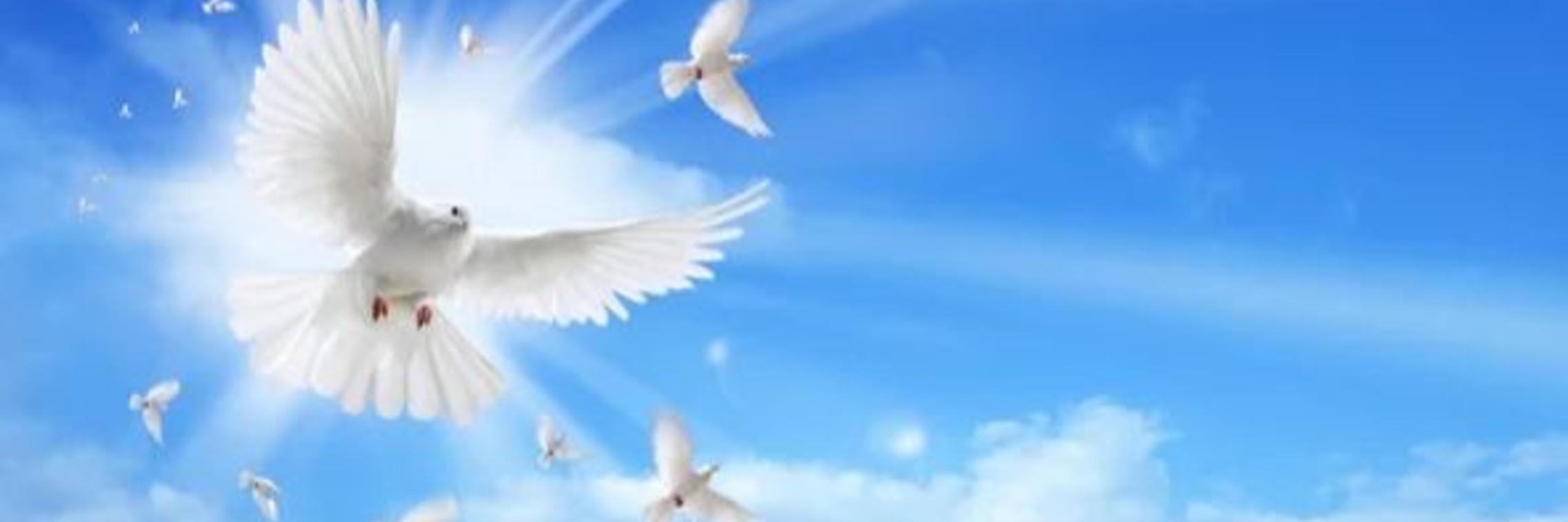 What are the Gifts of the Holy Spirit about?