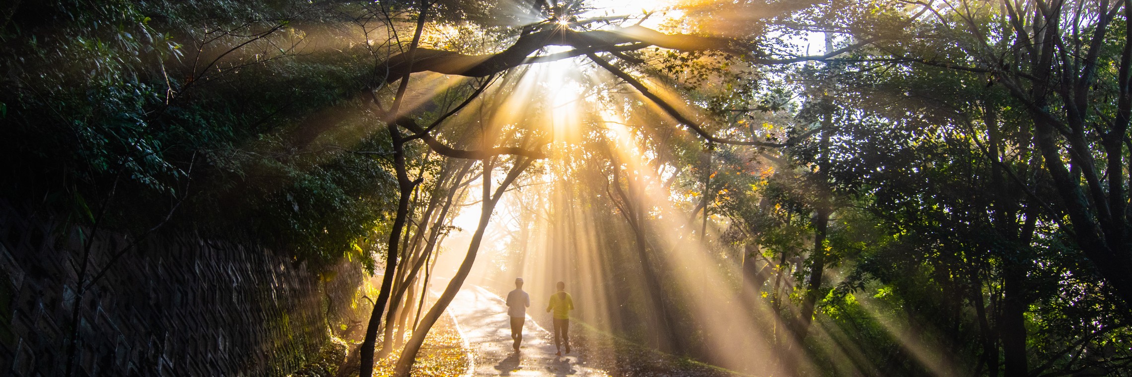 Shutterstock 1319647511