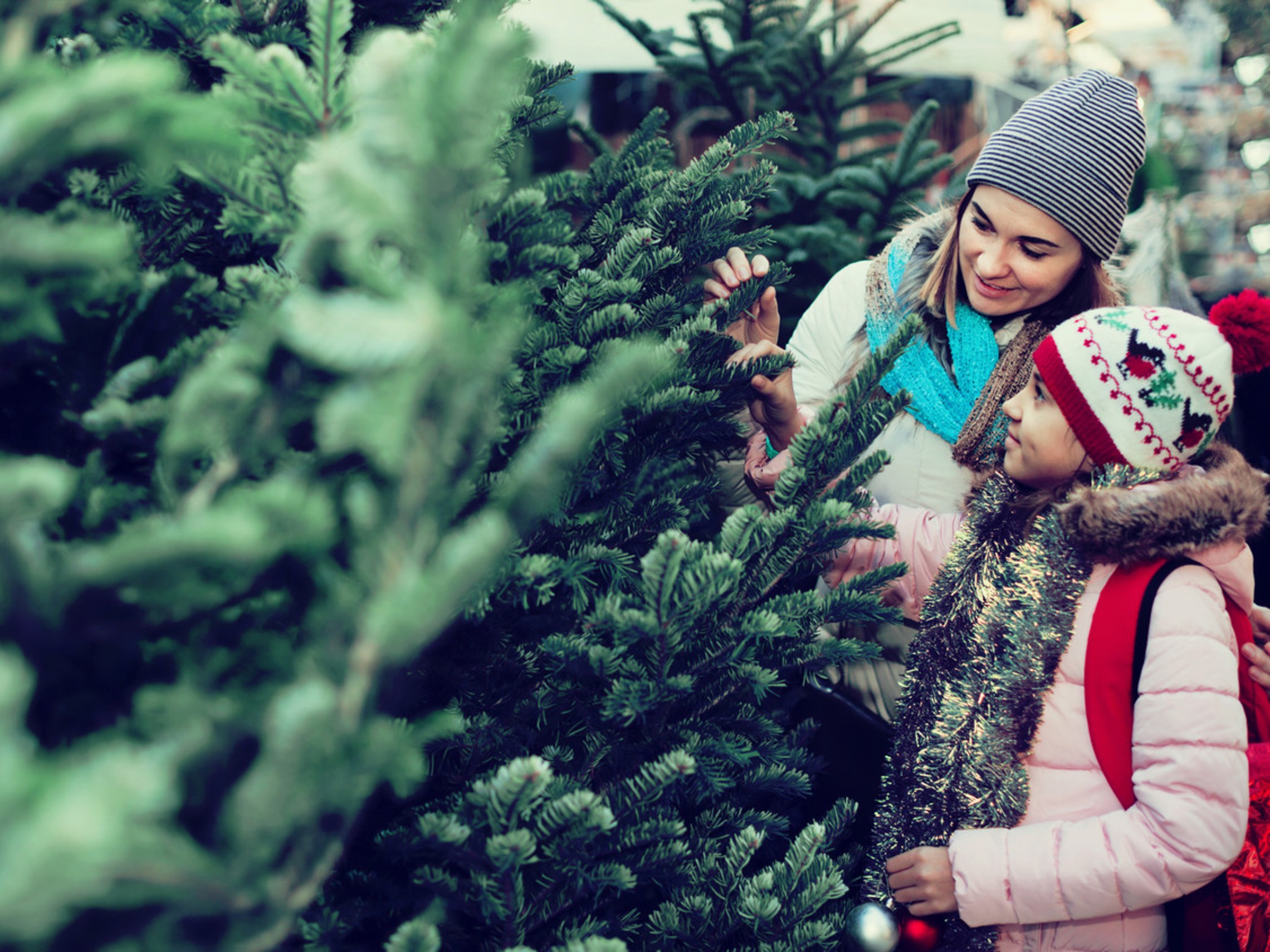 Istock 637945976