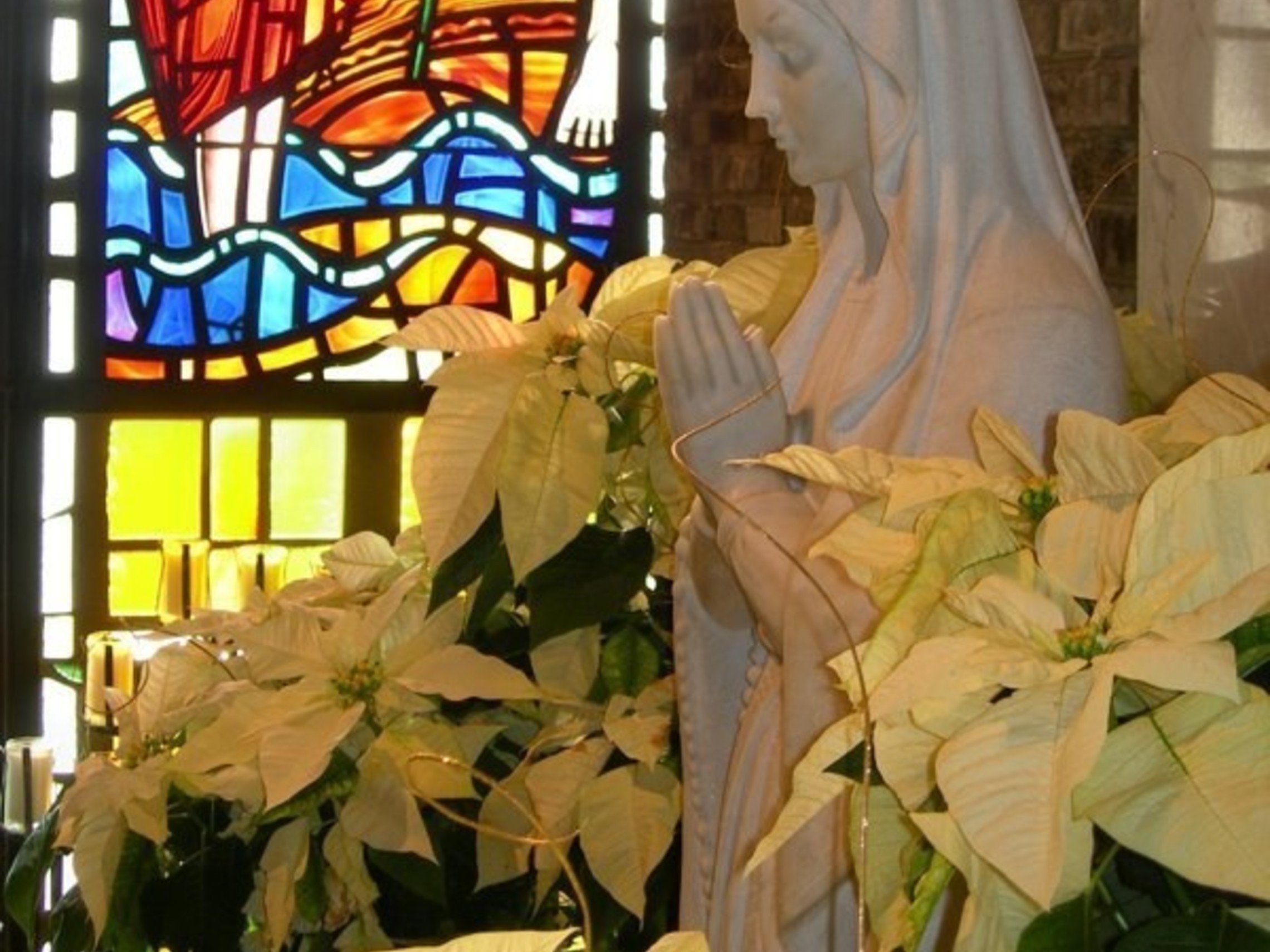 Marian Grotto Christmas For Svdp