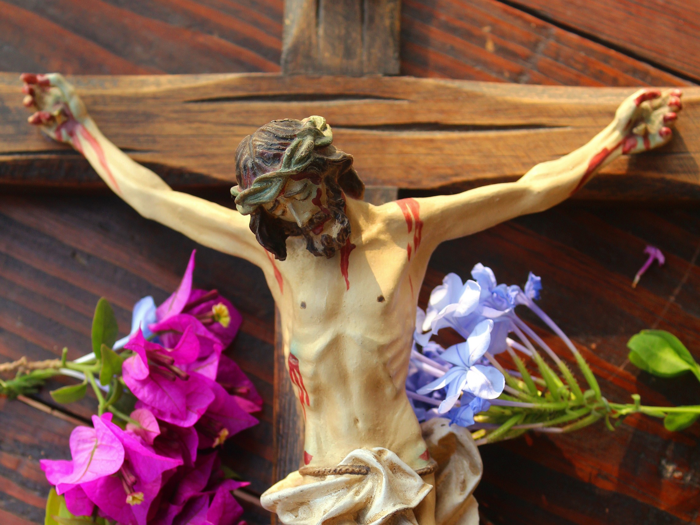 Paolar F5f6a0ad52d27482527a465b90d9c503 Cathopic