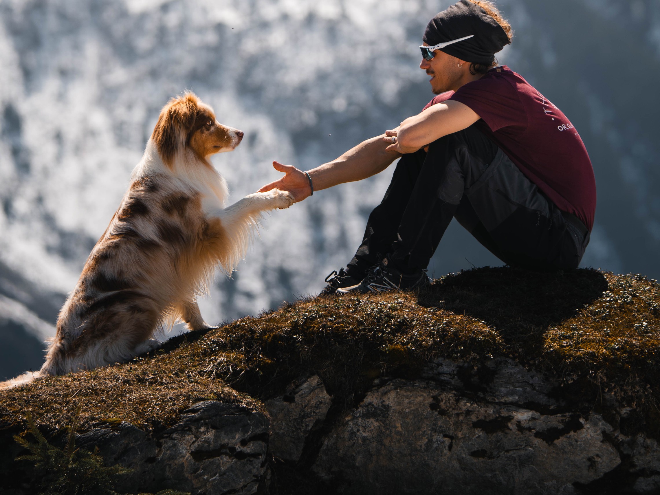 Pet Blessing
