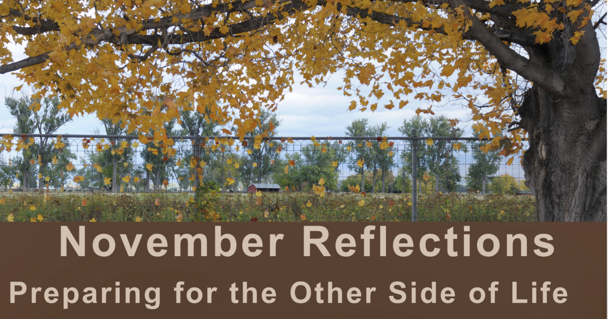 November Reflections | Our Lady of Lourdes