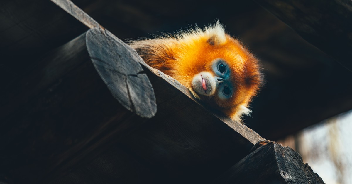 A Funny Thing About The Holy Spirit Our Lady Of Lourdes